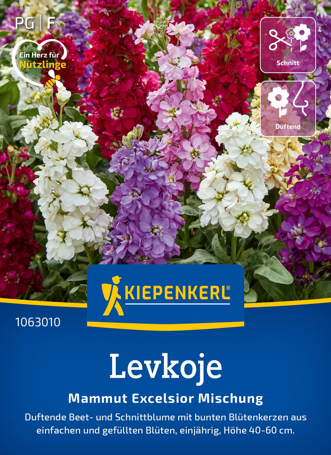 kiepenkerl-levkoje-mammut-excelsior-mischung-blumensamen image 1