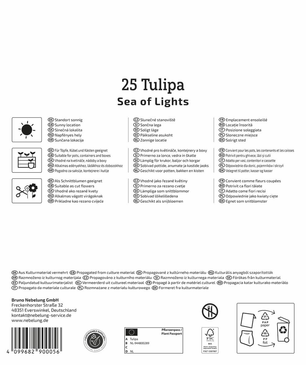kiepenkerl-tulpenzwiebeln-sea-of-lights-mega-pack-25-pflanzen-mehrfarbig image 2