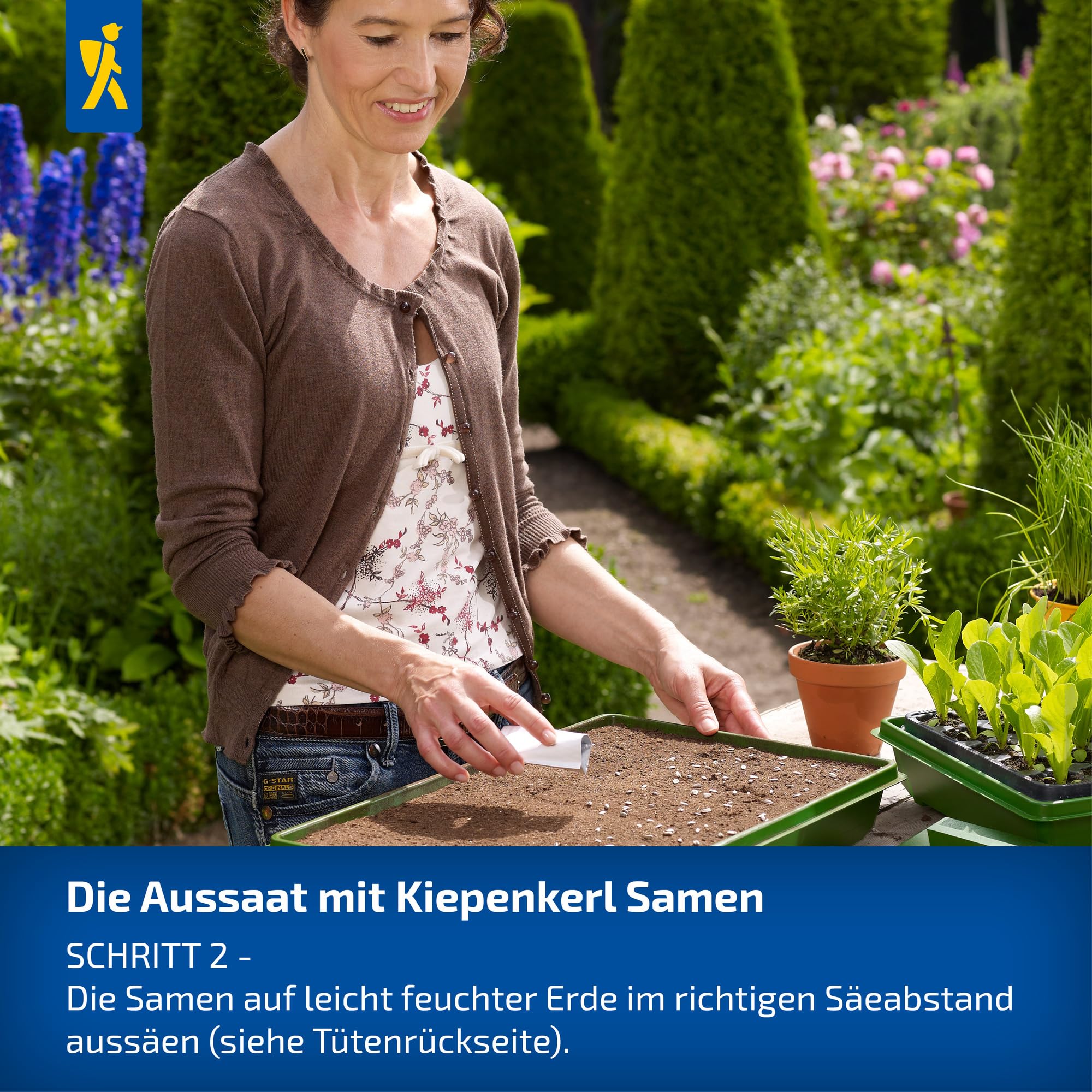 kiepenkerl-babyleaf-salat-vital-mischung-102277-salatsamen image 4