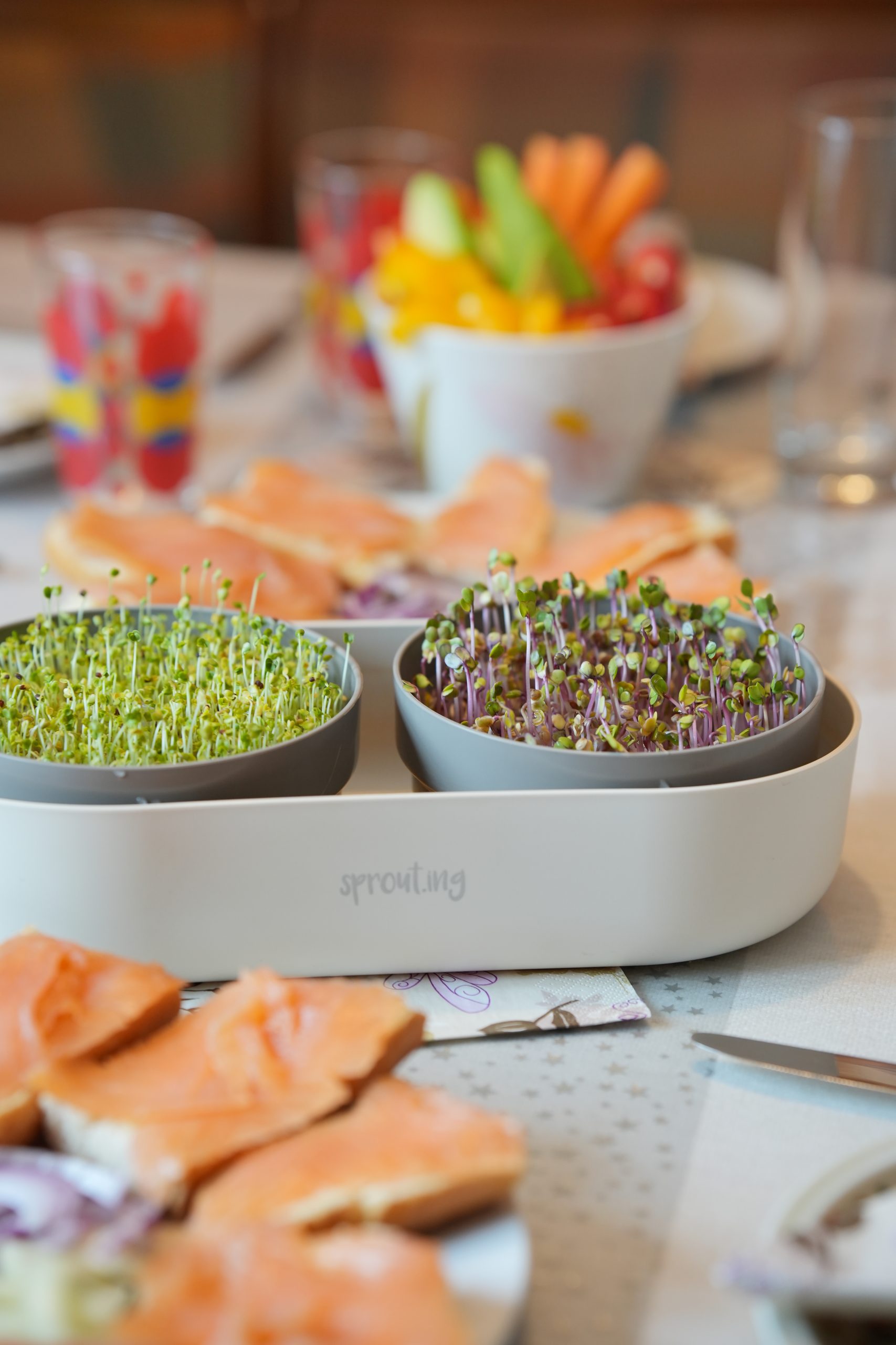 samen-maier-sprossen-starterset-doppelt-bio-sprossen-microgreens image 3