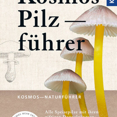 samen-maier-der-gro-e-kosmos-pilzf-hrer-buch-1200-arten image 2