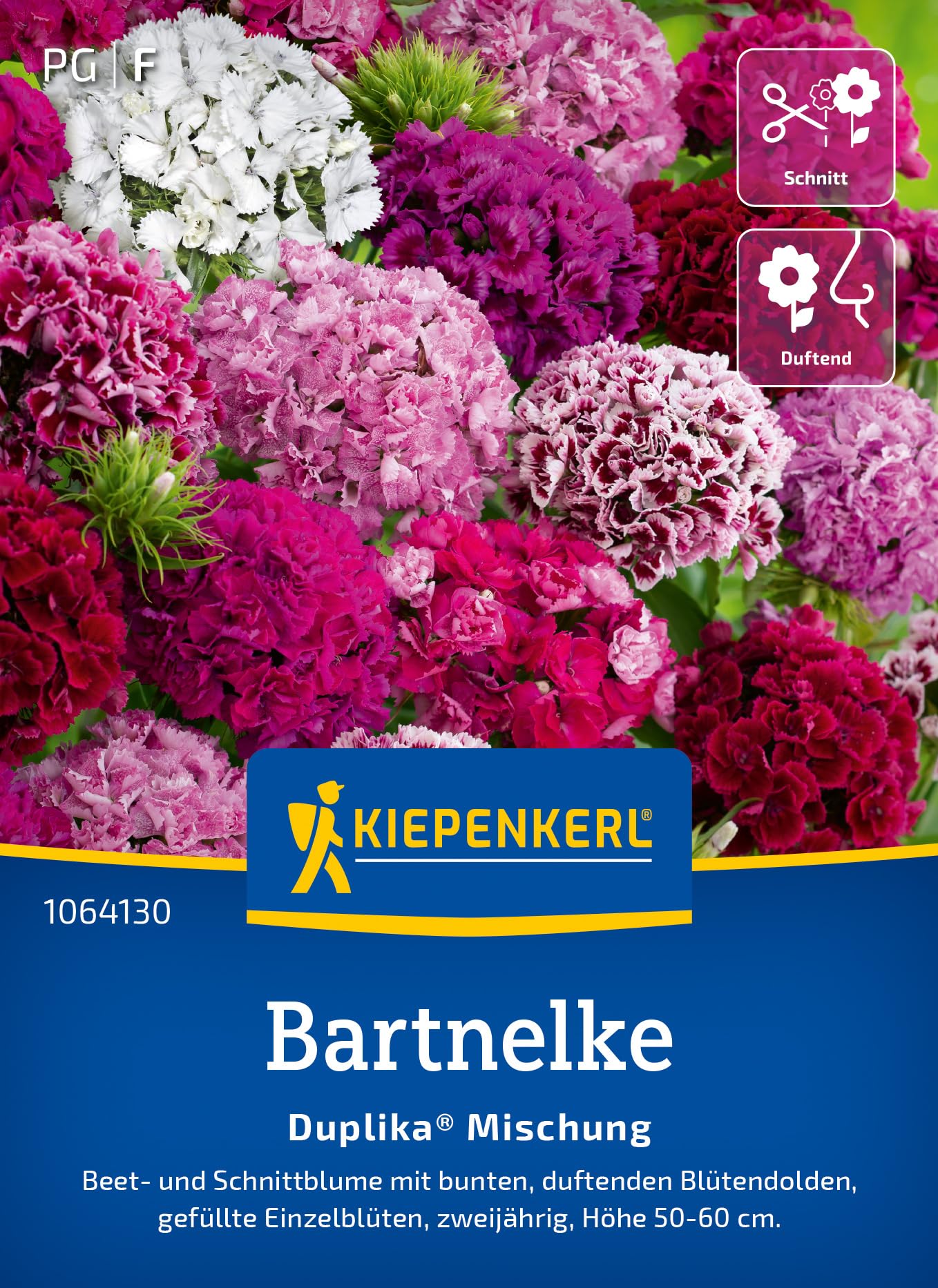 kiepenkerl-kapuzinerkresse-lady-bird-blumensaatgut image 6