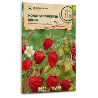 samen-maier-bio-monatserdbeeren-r-gen-erdbeersamen image 3