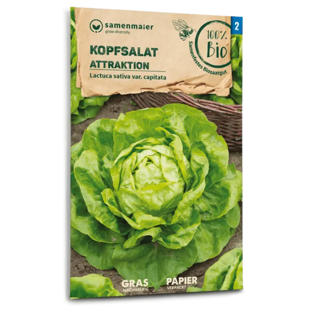 samen-maier-bio-kopfsalat-attraktion-gem-sesamen image 1