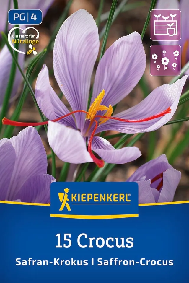 kiepenkerl-safrankrokus-crocus-sativus-2650015-herbstbl-her image 1