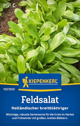 kiepenkerl-feldsalat-holl-ndischer-breitbl-ttriger-saatgut image 7
