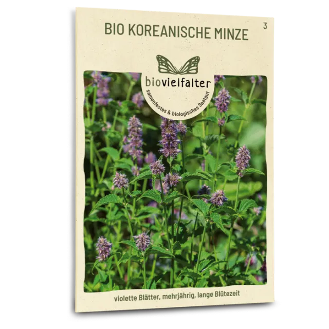 samen-maier-bio-koreanische-minze-samen image 1