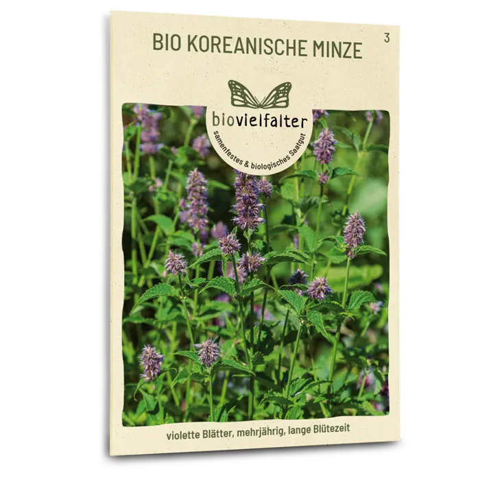 samen-maier-bio-koreanische-minze-samen image 1