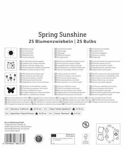 kiepenkerl-mega-pack-spring-sunshine-mix-gelbe-fr-hbl-hermischung image 7