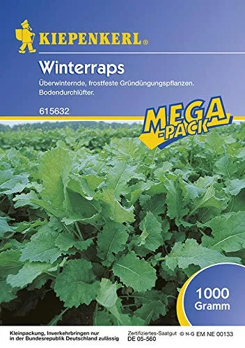 kiepenkerl-winterraps-1-kg-gr-nd-ngung image 1