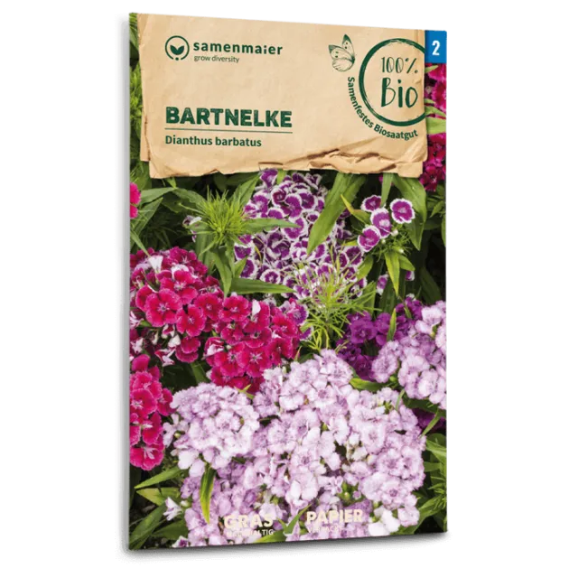 samen-maier-bio-bartnelke-saatgut-40-60-cm image 1