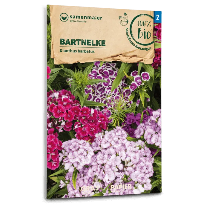 samen-maier-bio-bartnelke-saatgut-40-60-cm image 1