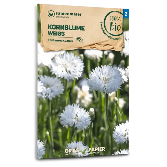samen-maier-bio-kornblume-wei-blumensamen-60-80-cm image 1