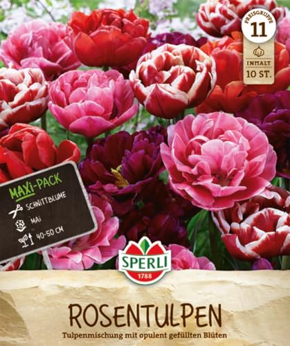 sperli-maxi-tulpen-rosentulpen-mischung-blumenzwiebeln-gef-llt-rosa-rot-50-cm image 7