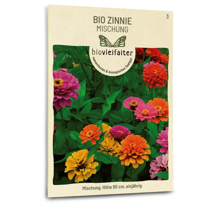 samen-maier-bio-zinnie-blumensamen image 1