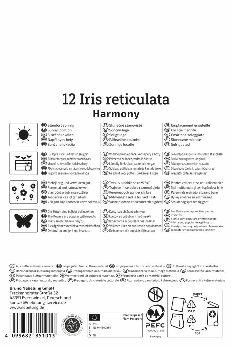 kiepenkerl-netzblatt-schwertlilie-iris-reticulata-blumenzwiebeln-violett-gelb image 2