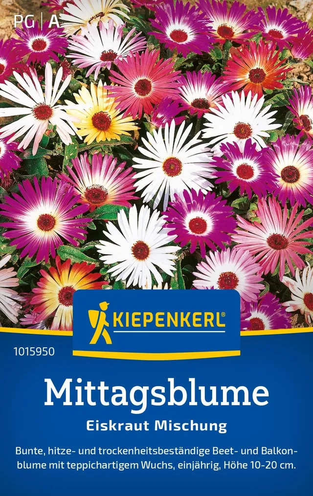 kiepenkerl-mittagsblumensamen-eiskraut-mischung-1015950-sommerblumensaat image 1