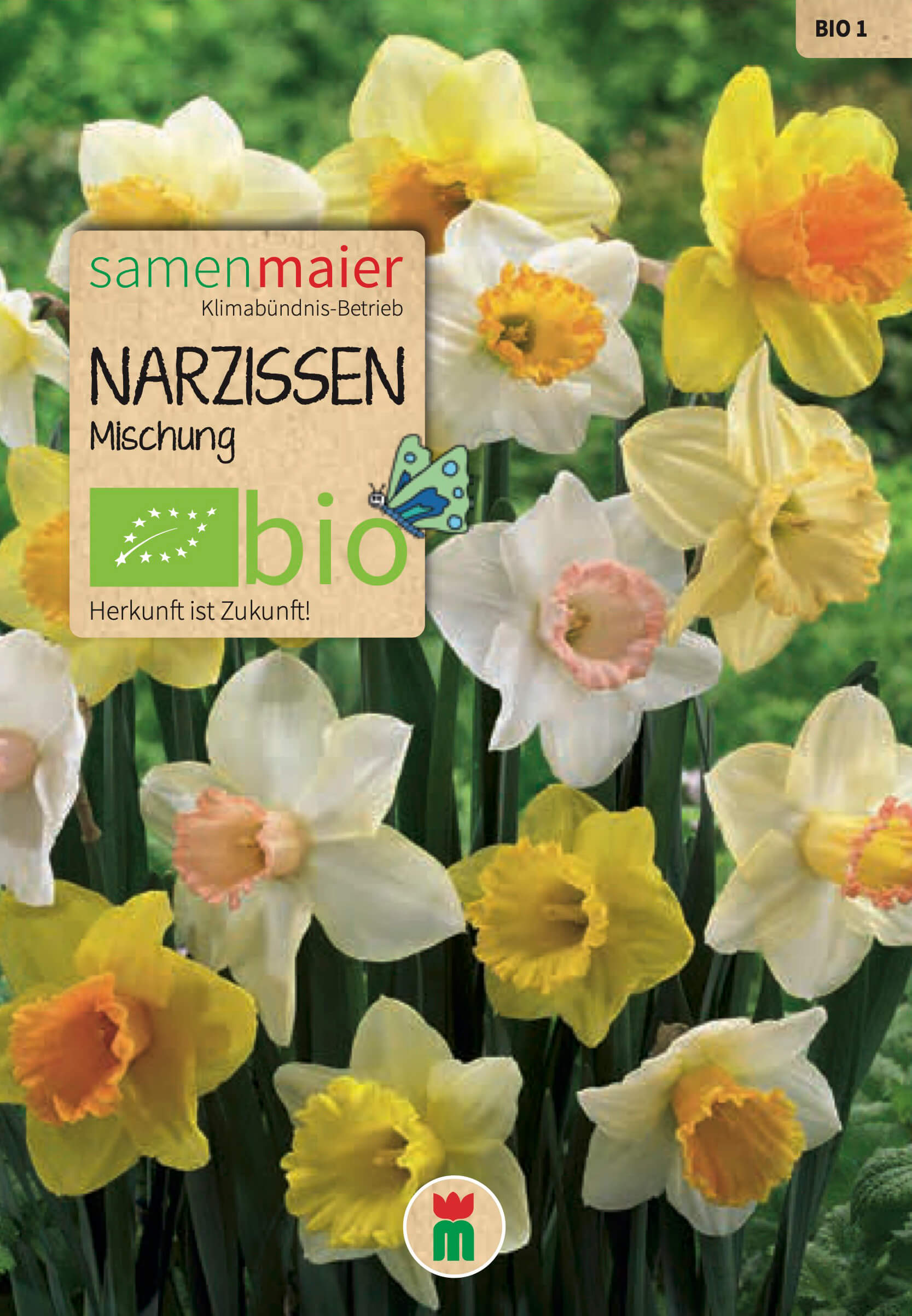 samen-maier-bio-narzissen-mischung-blumenzwiebeln image 1