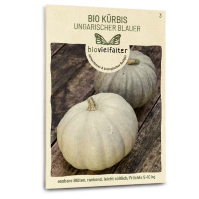 samen-maier-bio-k-rbis-ungarischer-blauer-saatgut image 3