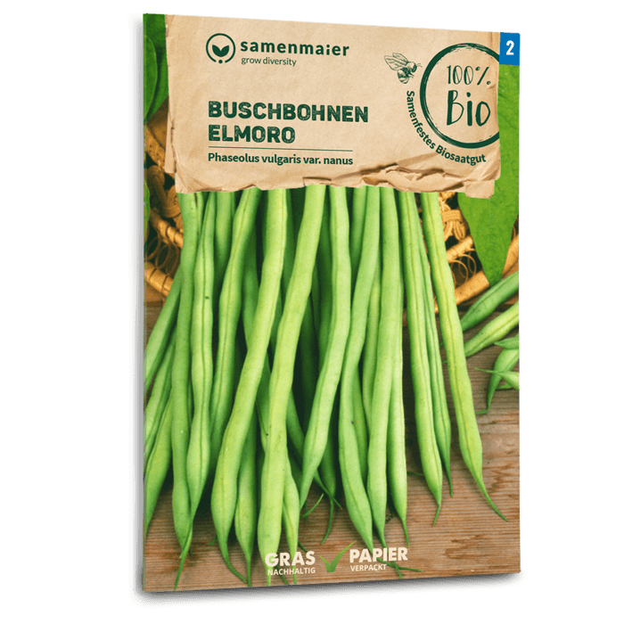 samen-maier-bio-buschbohnen-elmoro-buschbohnen-saatgut image 1