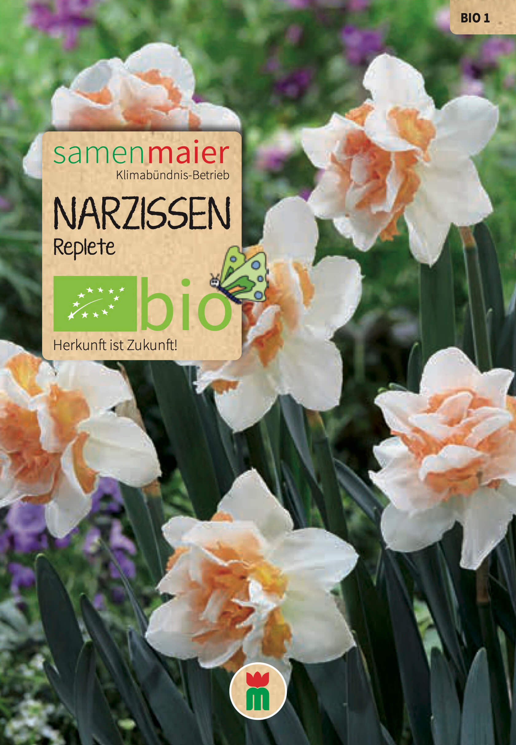 samen-maier-bio-narzissen-replete-blumenzwiebeln image 1