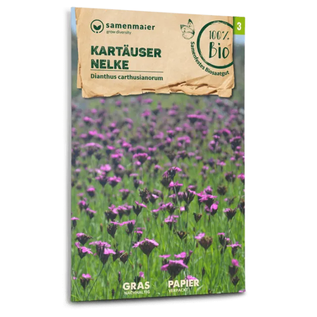 samen-maier-bio-wildblumen-kart-user-nelke-blumensamen image 1