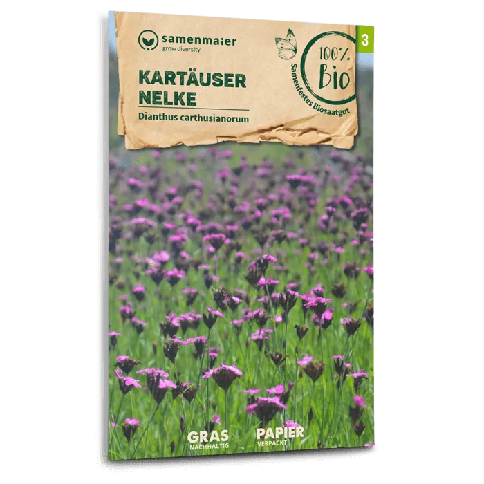 samen-maier-bio-wildblumen-kart-user-nelke-blumensamen image 1