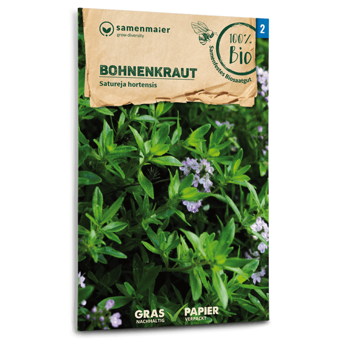 samen-maier-bio-bohnenkraut-kr-utersamen-w-rzig-pfeffrig image 1
