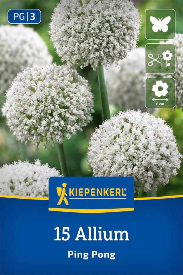 kiepenkerl-zierlauch-ping-pong-blumenzwiebeln-wei-100-cm image 1