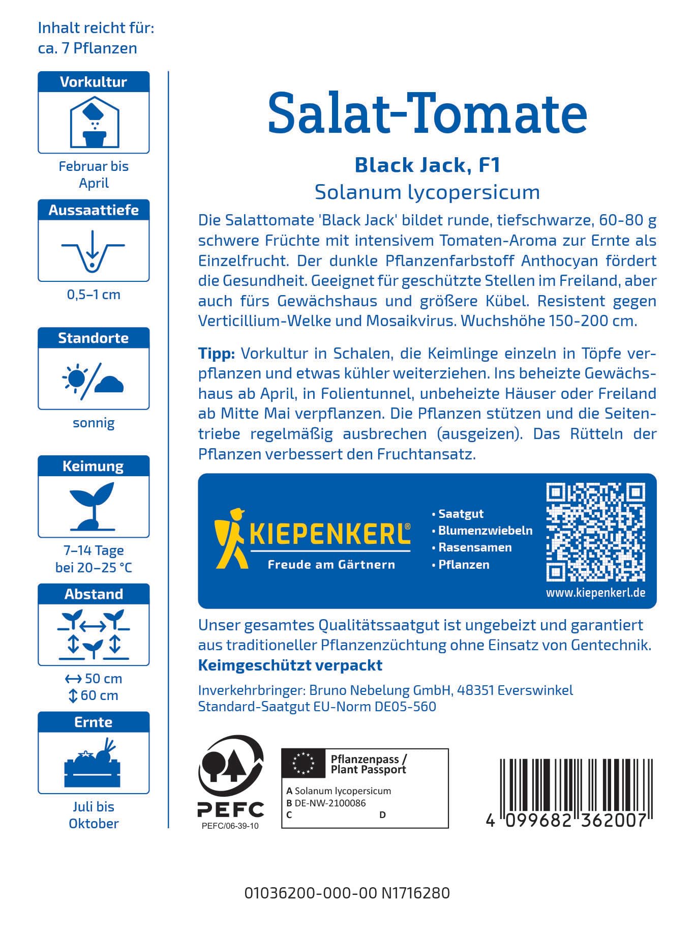 kiepenkerl-salat-tomate-black-jack-1036200-gem-sesaat image 2