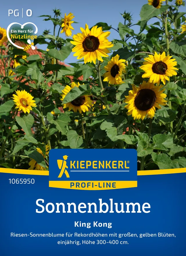 kiepenkerl-sonnenblumensamen-king-kong-1065950 image 1