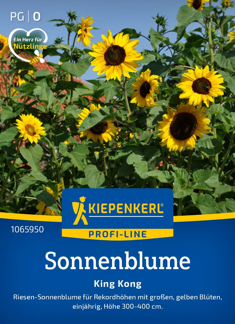 kiepenkerl-sonnenblumensamen-king-kong-1065950 image 1