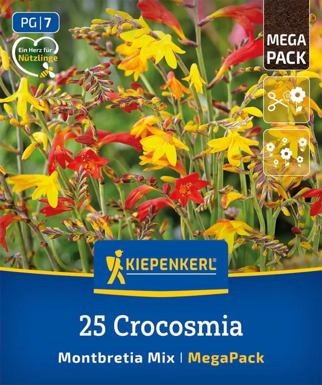 kiepenkerl-mega-pack-montbretien-mischung-blumenzwiebeln-rot-orange-60-cm image 1