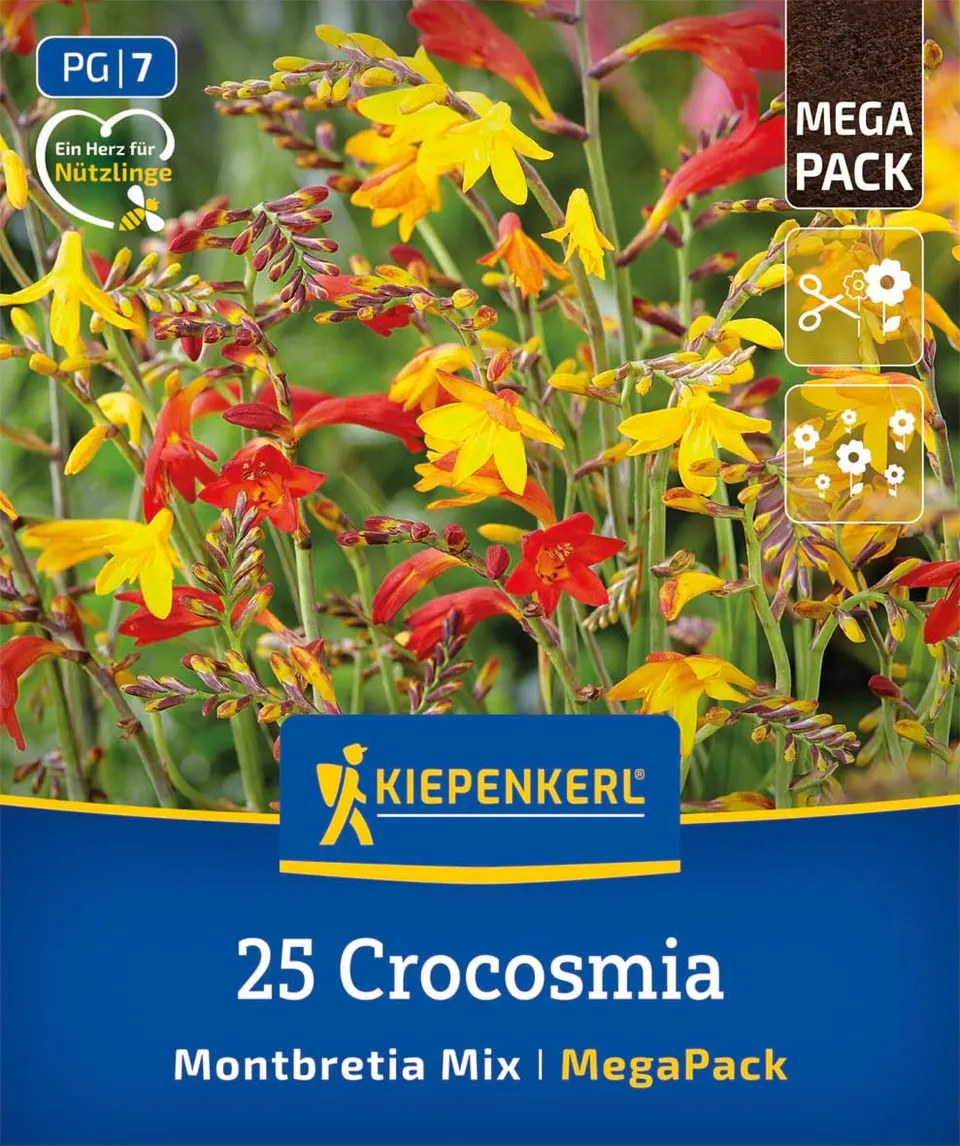 kiepenkerl-mega-pack-montbretien-mischung-blumenzwiebeln-rot-orange-60-cm image 1