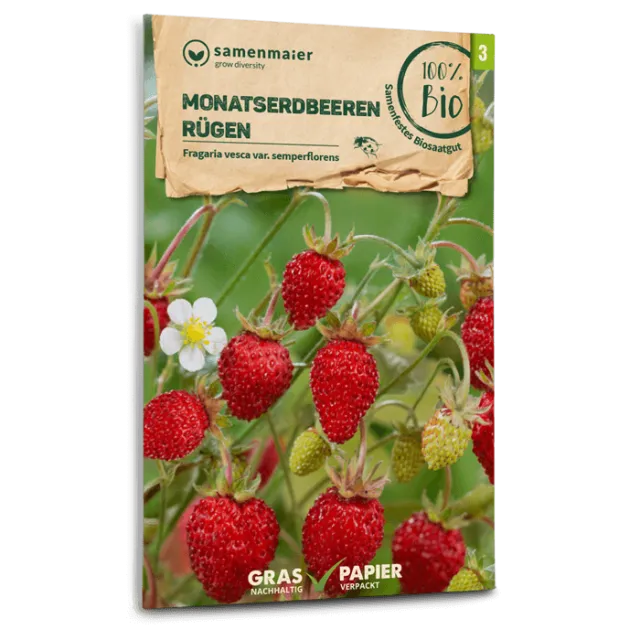 samen-maier-bio-monatserdbeeren-r-gen-erdbeersamen image 1