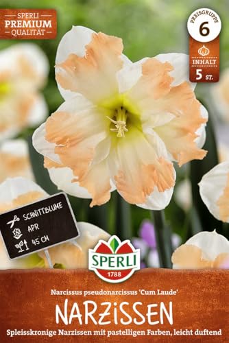 sperli-splei-kronige-narzisse-cum-laude-wei-rosa-schmetterlingsnarzisse-45-cm image 7