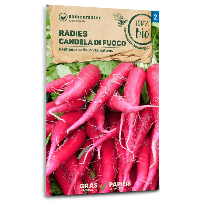 samen-maier-bio-radies-candela-di-fuoco-radieschensamen image 1