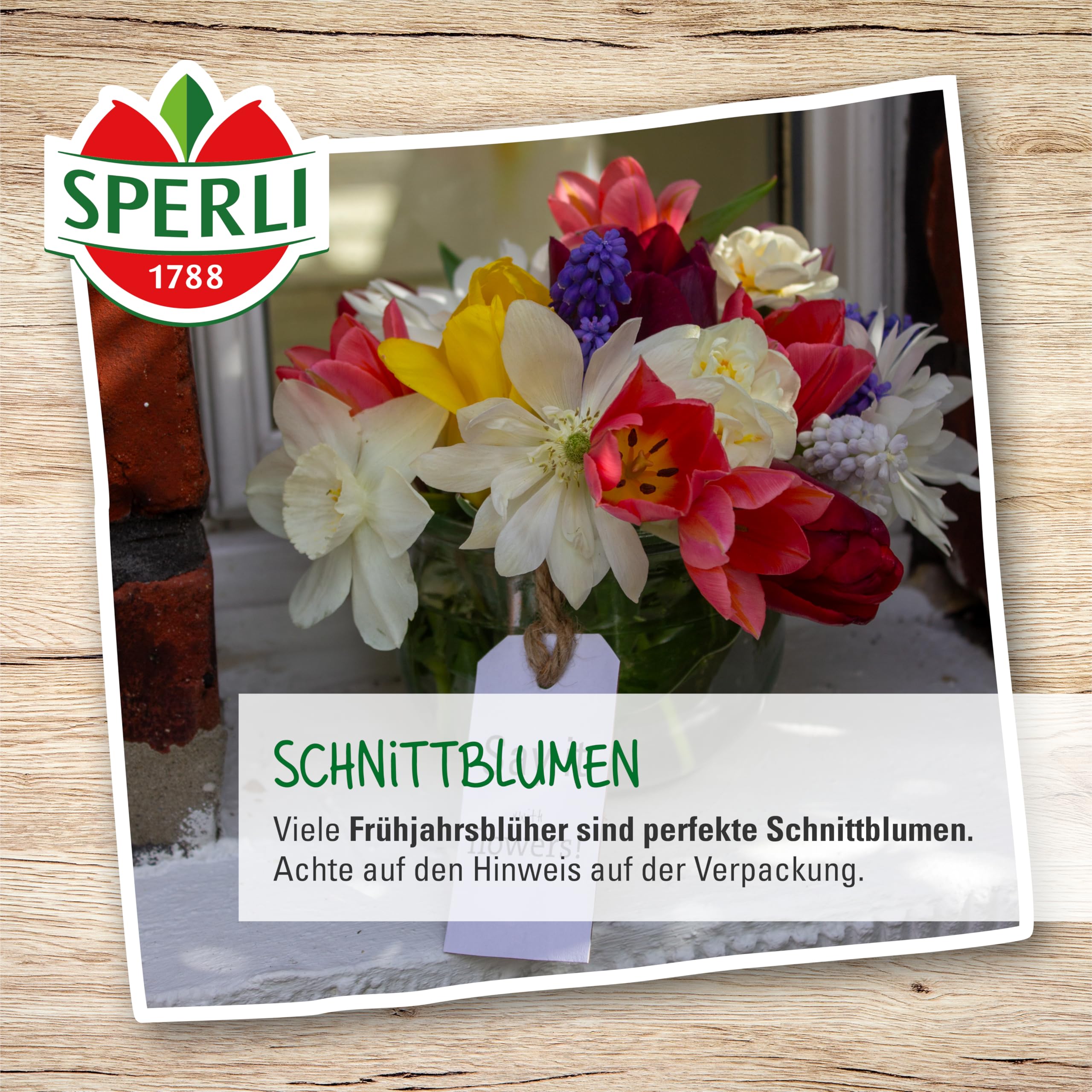 sperli-persische-kaiserkrone-adiyaman-459197-80-cm-violettschwarz image 6