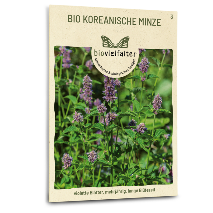 samen-maier-bio-koreanische-minze-samen image 1