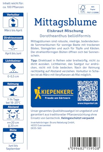 kiepenkerl-mittagsblumensamen-eiskraut-mischung-1015950-sommerblumensaat image 7