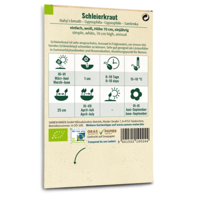 samen-maier-bio-schleierkraut-wei-saatgut-40-60-cm image 4