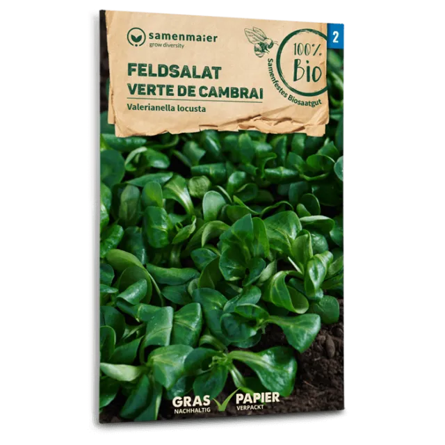 samen-maier-bio-feldsalat-verte-de-cambrai-wintersamen image 1