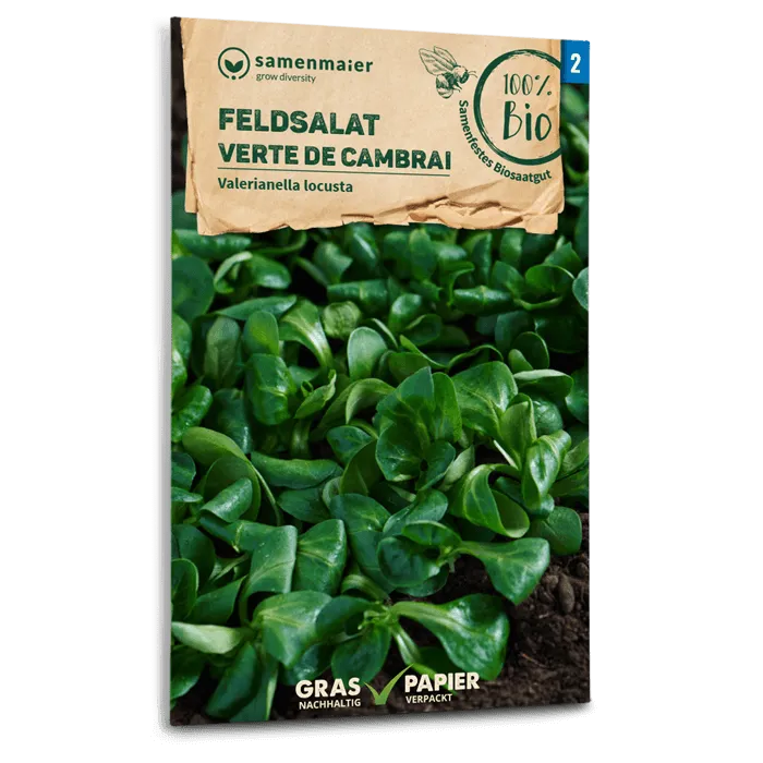 samen-maier-bio-feldsalat-verte-de-cambrai-wintersamen image 1