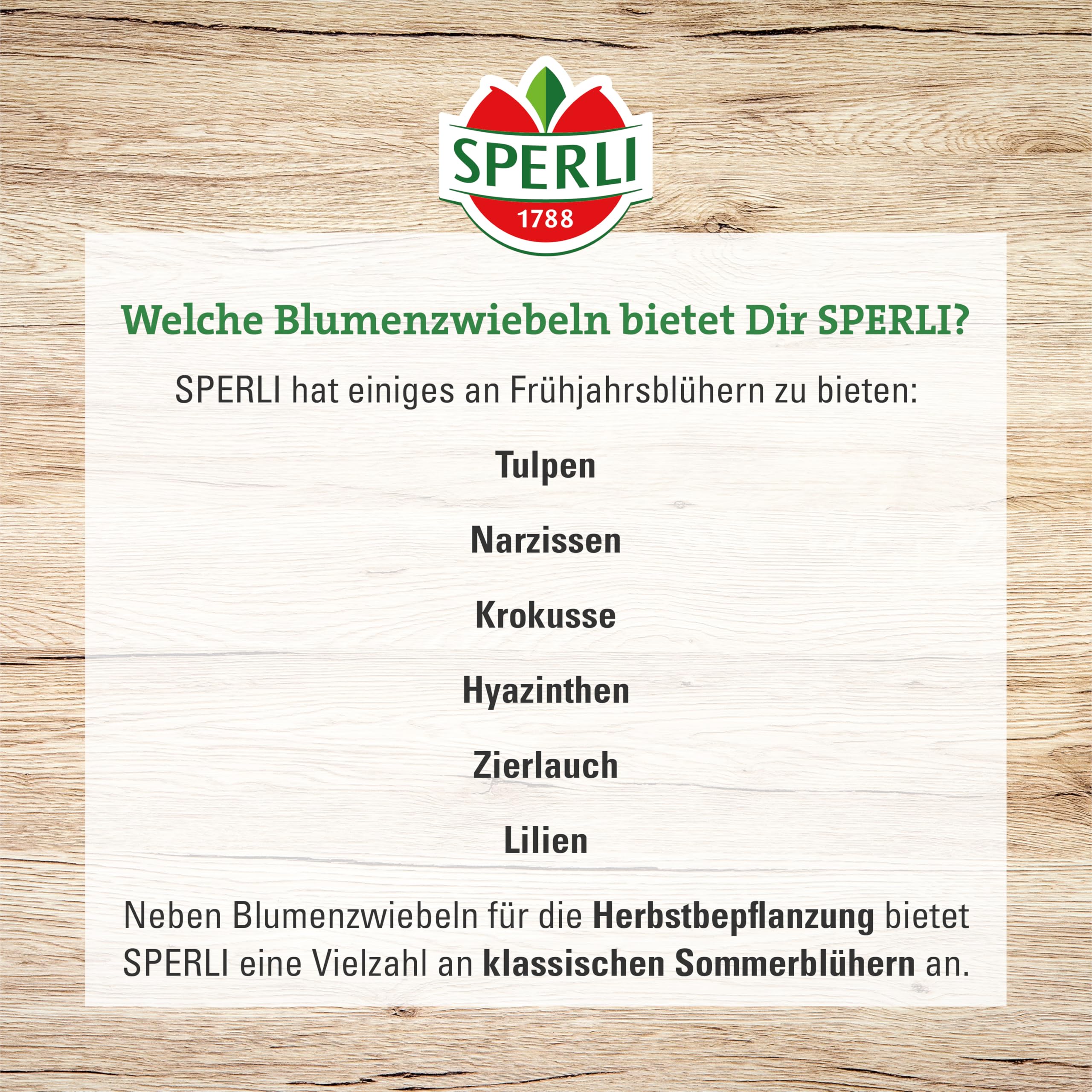 sperli-persische-kaiserkrone-adiyaman-459197-80-cm-violettschwarz image 5