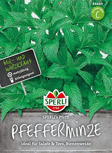 sperli-premium-pfefferminze-sperlis-pfeffi-84449-mehrj-hrige-minze-kr-utersamen image 2