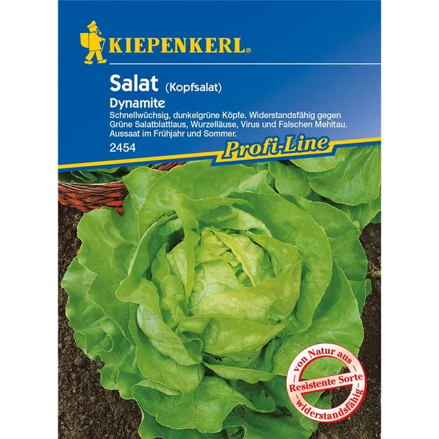 sperli-dynamite-kopfsalat-gem-sesamen-gr-n image 1