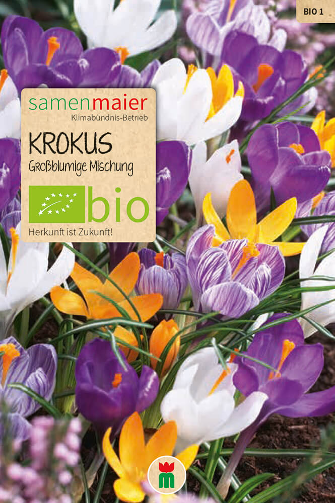 samen-maier-bio-krokus-gro-blumige-mischung-blumenzwiebeln image 1