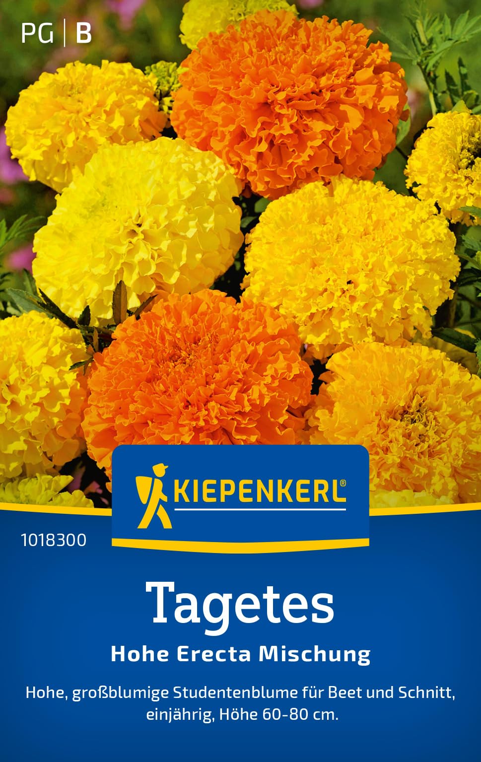 kiepenkerl-russel-lupinen-mischung-blumensamen-f-r-20-pflanzen image 8