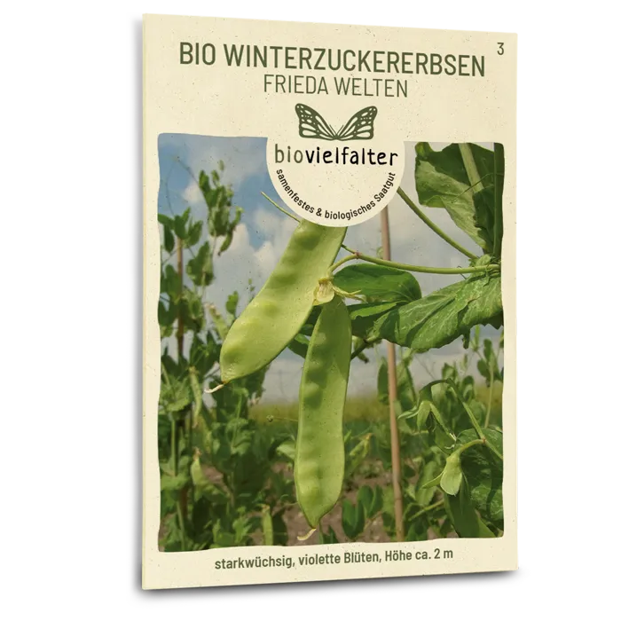 samen-maier-bio-winterzuckererbsen-frieda-welten-samen image 1