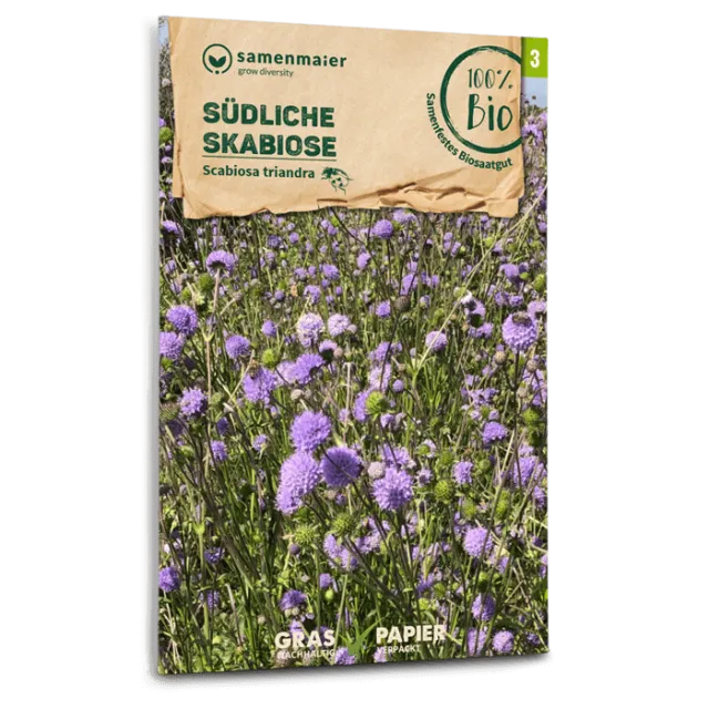 samen-maier-bio-wildblumen-s-dliche-skabiose-saatgut-40-80-cm image 1